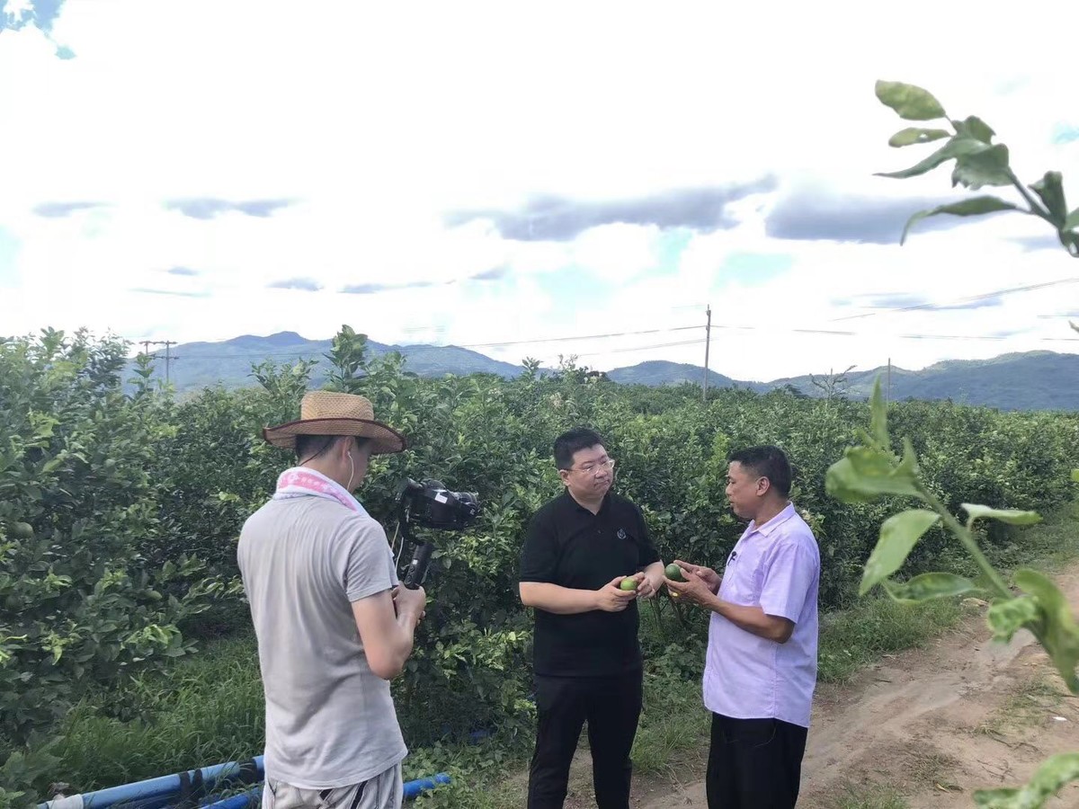 CCTV2采访海南小叶柠檬创始人叶志光先生
